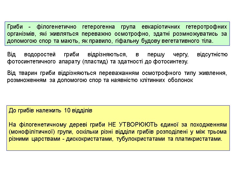 Гриби - філогенетично гетерогенна група евкаріотичних гетеротрофних організмів, які живляться переважно осмотрофно, здатні розмножуватись